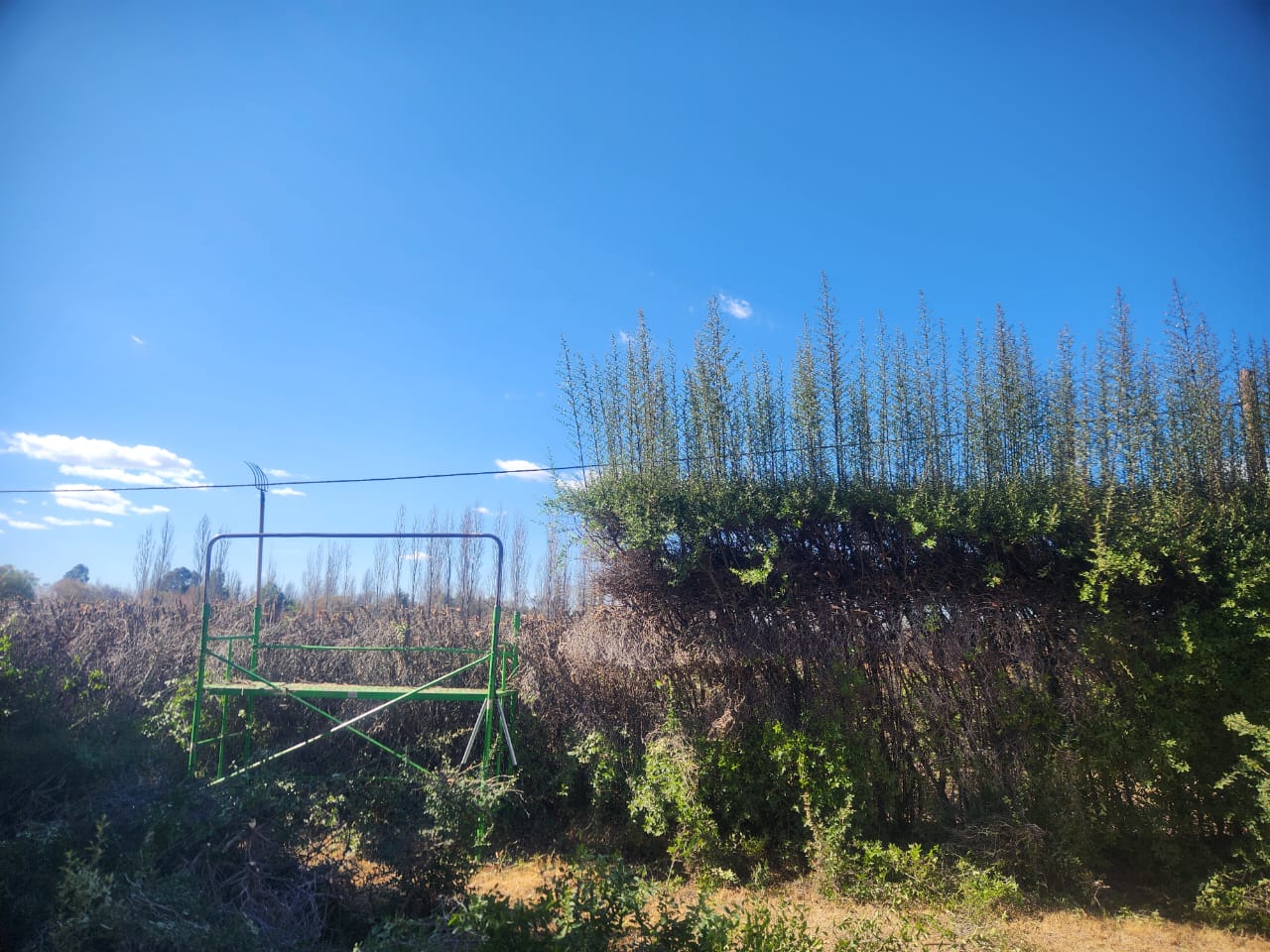 Trabajo de jardinería - Jardinería F.P